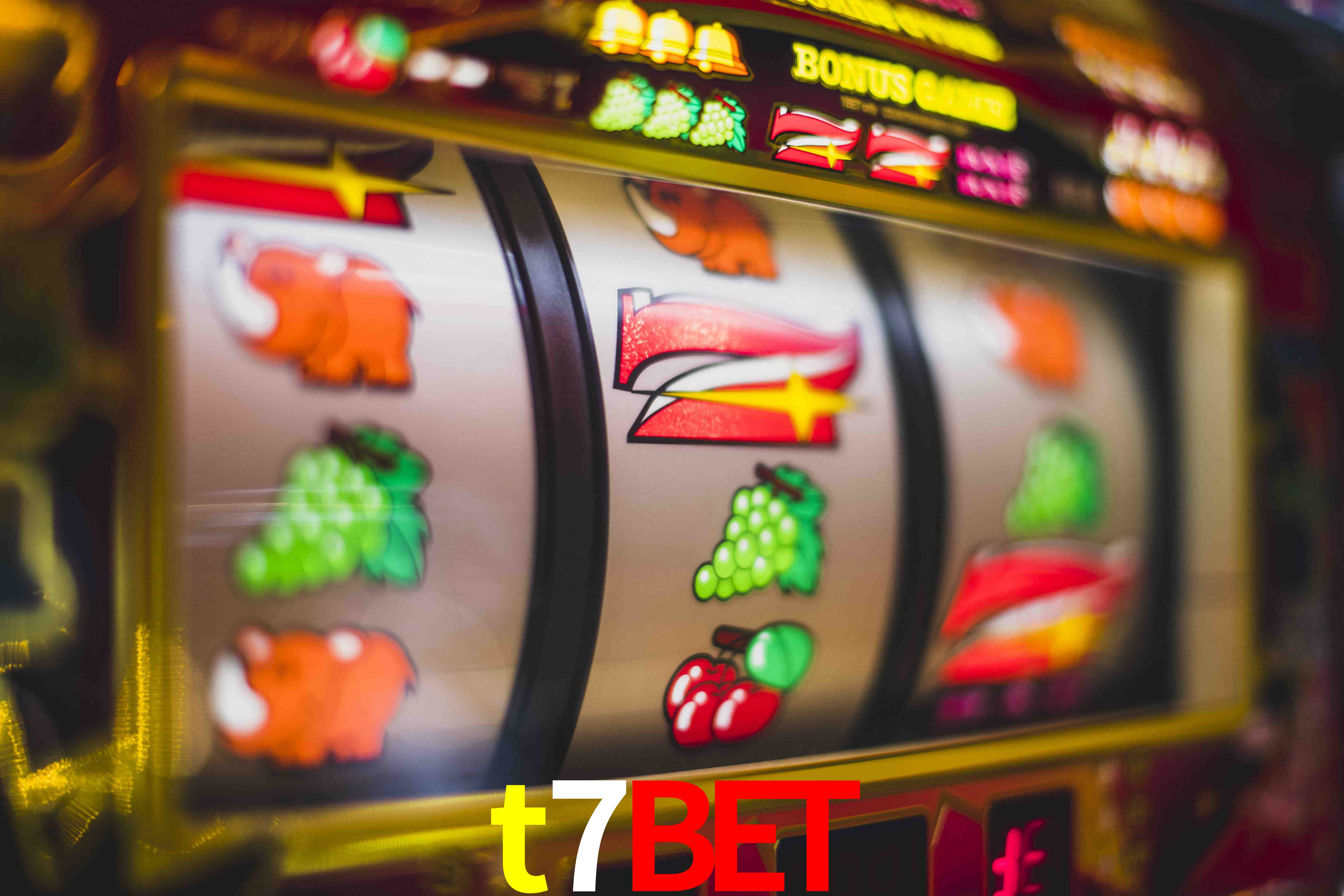 Crash Games Statistics t7bet